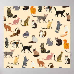 Colourful Cats: Different Breeds Pattern Poster