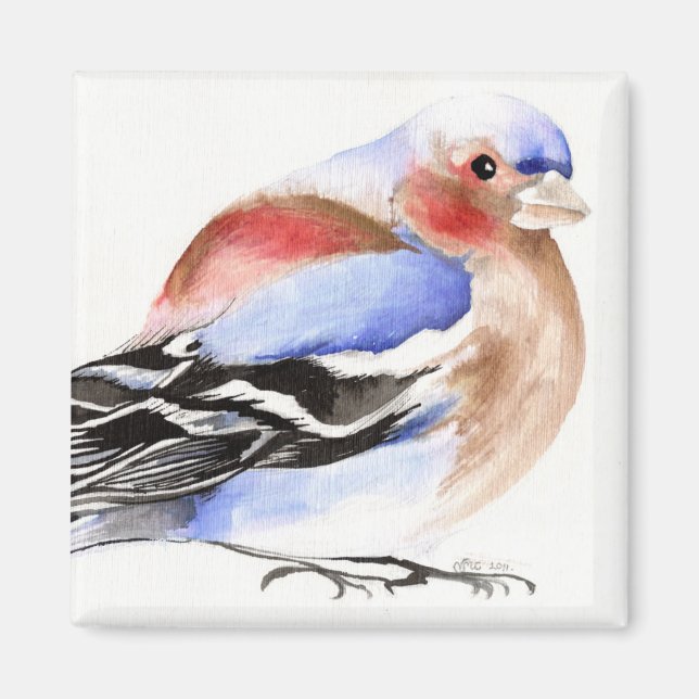 Colourful Chaffinch 2011 Magnet (Front)