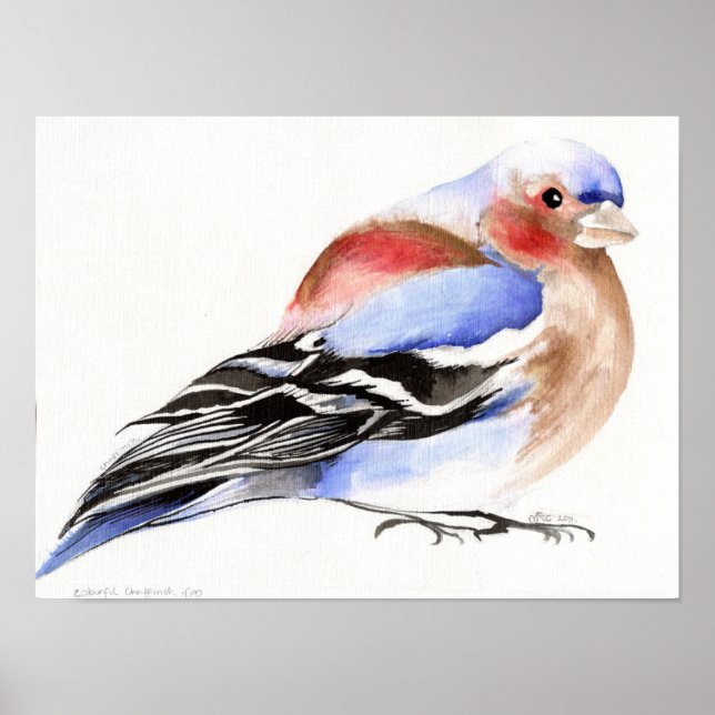 Colourful Chaffinch 2011 Poster (Front)