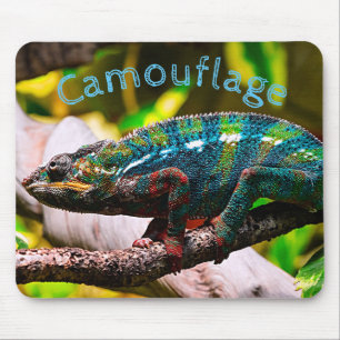 Colourful Chameleon Mouse Pad