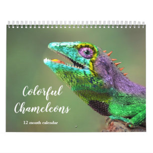 Colourful Chameleons 2024 Calendar
