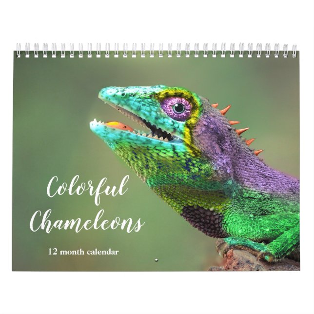 Colourful Chameleons 2026 Calendar (Cover)
