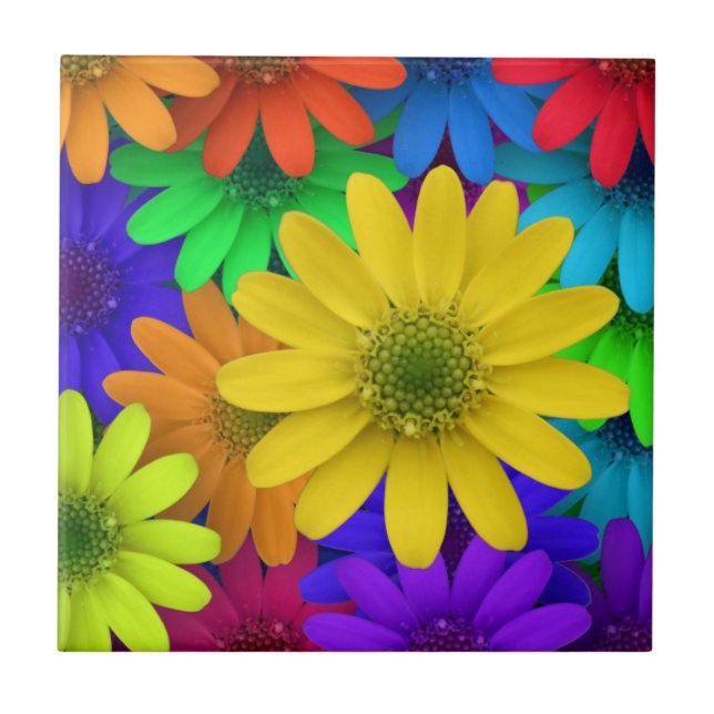 Colourful, Cheery, Summery Daisies Ceramic Tile (Front)