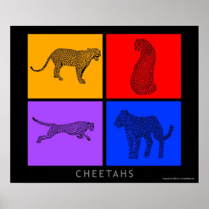 Colourful Cheetah Poster