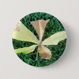 Colourful chestnut tree leaf 6 cm round badge