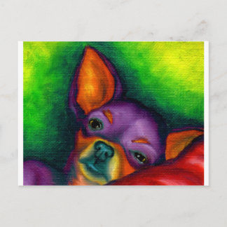 Colourful Chihuahua Postcard