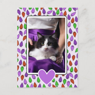 Colourful Christmas Lights Cat Postcard