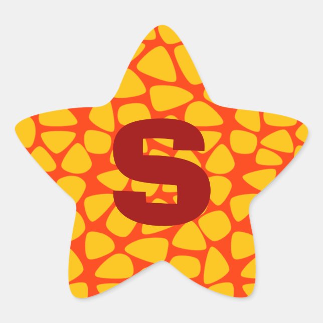 Colourful Circus Mosaic Star Sticker (Front)
