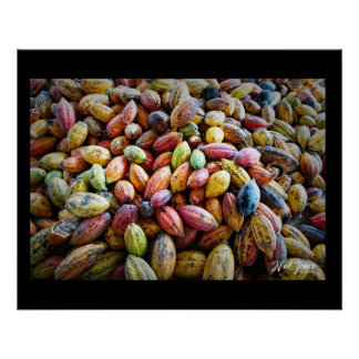 Colourful Cocoa Pods photographic design Poster