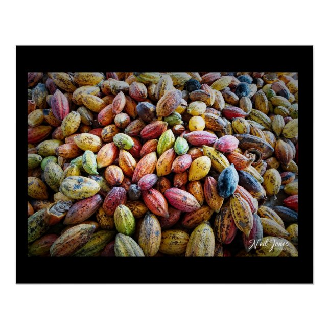 Colourful Cocoa Pods photographic design Poster (Front)