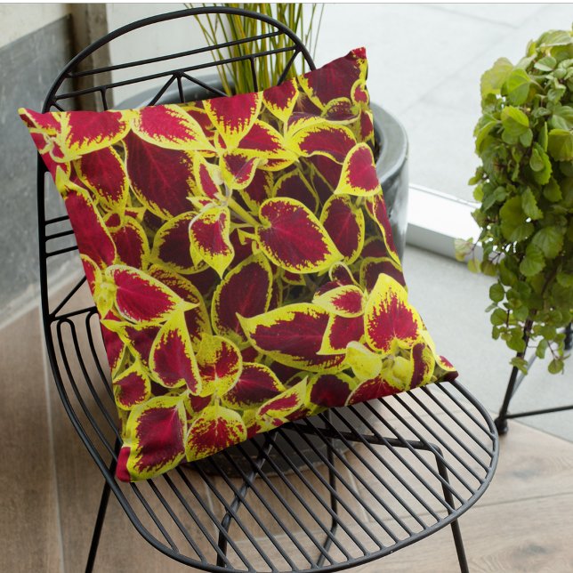 Colourful Coleus Leaves Floral Cushion (In Situ Patio)