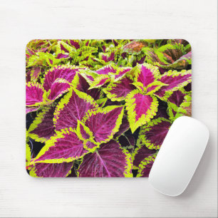 Colourful Coleus Leaves Mouse Pad