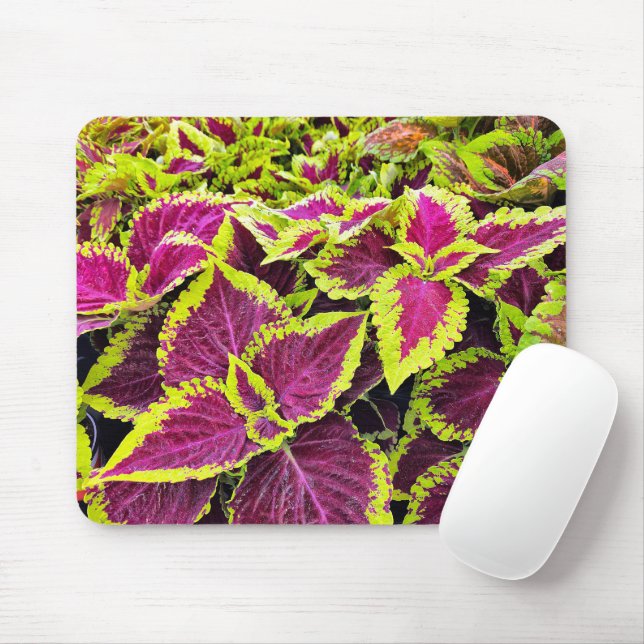 Colourful Coleus Leaves Mouse Pad (With Mouse)
