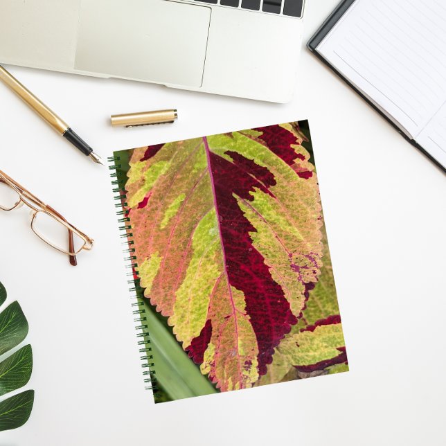 Colourful Coleus Plant Leaf Floral Notebook (In Situ)