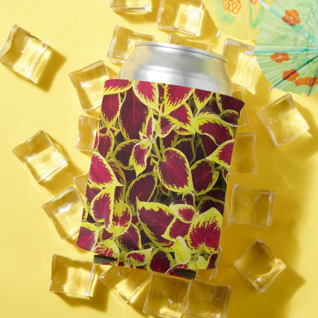 Colourful Coleus Plant Leaves Floral Can Cooler (In Situ Summer)