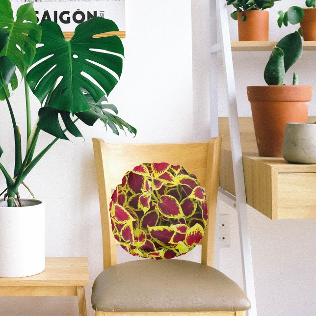 Colourful Coleus Plant Leaves Floral Round Cushion (In Situ Chair)