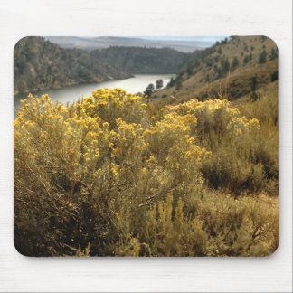 Colourful Colorado Canyon Brush Mousepad