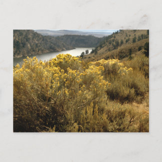 Colourful Colorado Canyon Brush Postcards