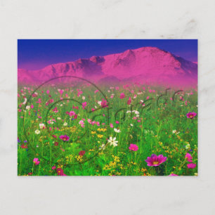 Colourful Colorado, Pikes Peak Mountain Postcard