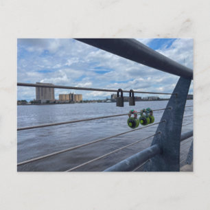 Colourful Combination Love Locks Postcard