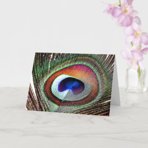 Colourful Copper Peacock Feather Card