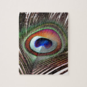 Colourful Copper Peacock Feather Jigsaw Puzzle