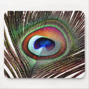 Colourful Copper Peacock Feather Mouse Pad