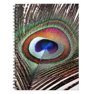 Colourful Copper Peacock Feather Notebook