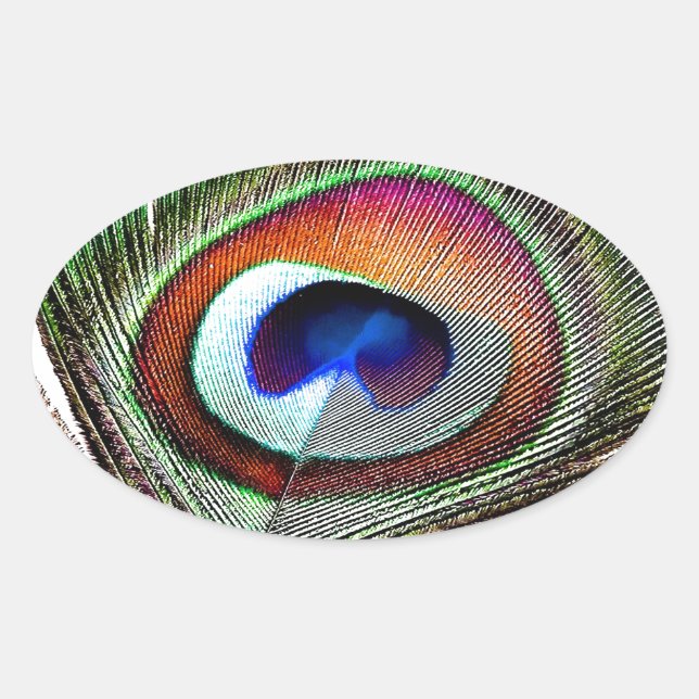 Colourful Copper Peacock Feather Oval Sticker (Front)