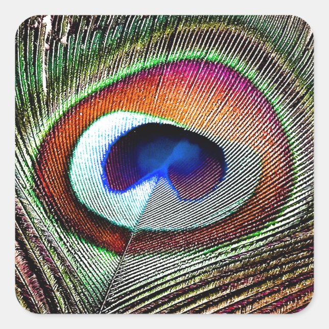 Colourful Copper Peacock Feather Square Sticker (Front)
