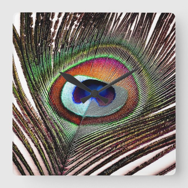 Colourful Copper Peacock Feather Square Wall Clock (Front)