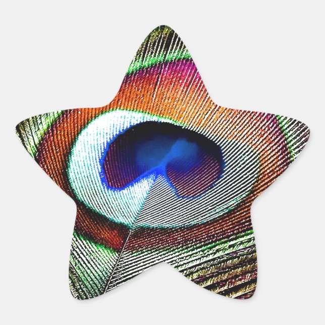 Colourful Copper Peacock Feather Star Sticker (Front)