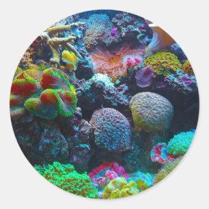 Colourful Coral Classic Round Sticker