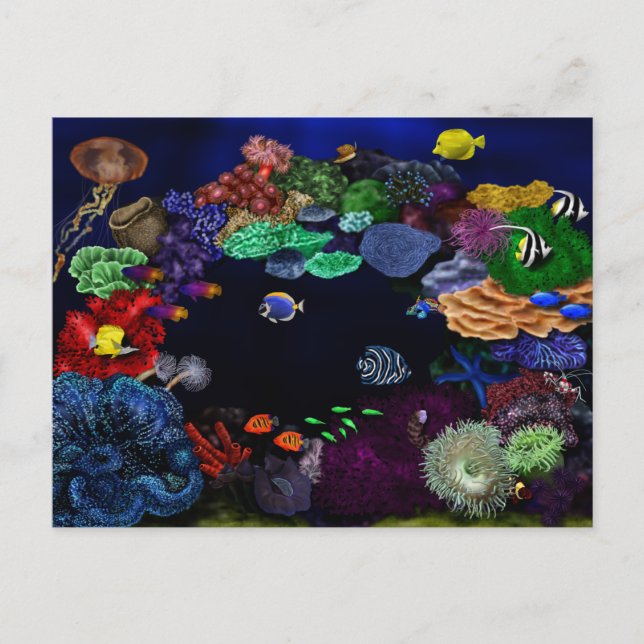 Colourful Coral & Fish Reef Art Postcard (Front)
