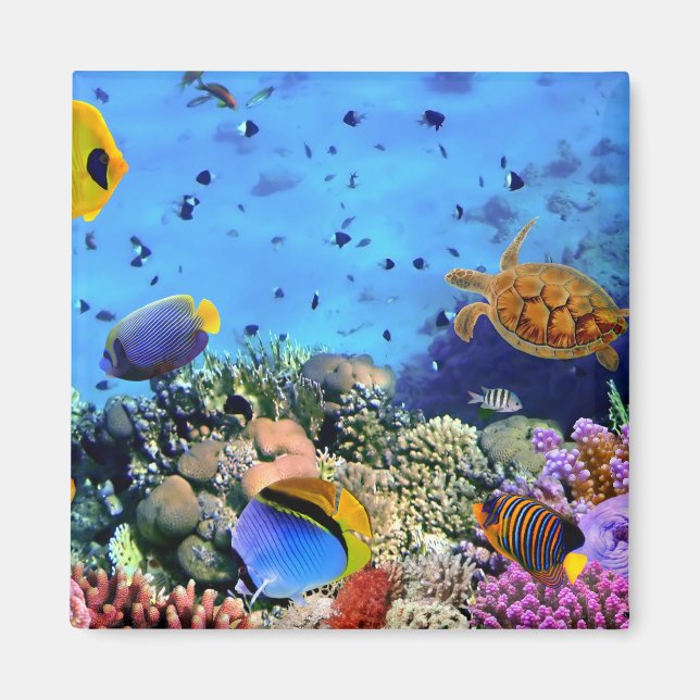 Colourful Coral Reef Critters Magnet (Front)