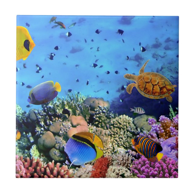 Colourful Coral Reef Critters Tile (Front)