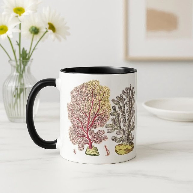Colourful Coral reef in Tropical Sea Rocks Ocean  Mug (Colorful Coral reef in Tropical Sea Rocks Ocean Mug)