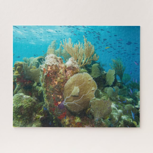 Colourful Coral Reef Jigsaw Puzzle (Horizontal)