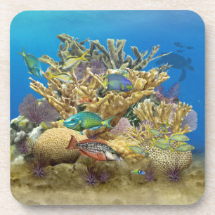 Colourful Coral Reef Scene Coasters
