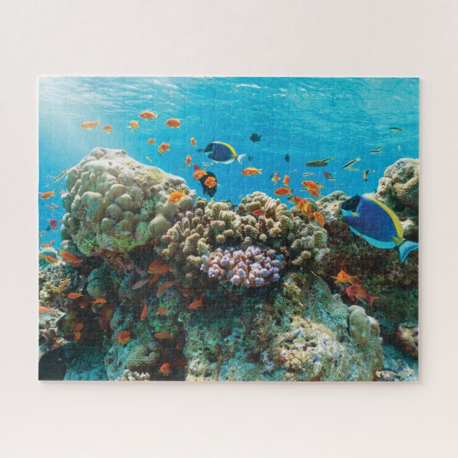 Colourful Coral Reef with Tropical Fishes Jigsaw Puzzle (Horizontal)