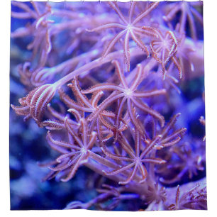 Colourful Coral reefs Shower Curtain