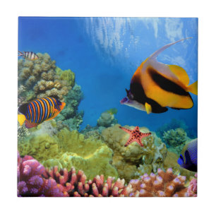 Colourful Coral & Tropical Fish Ceramic Tile