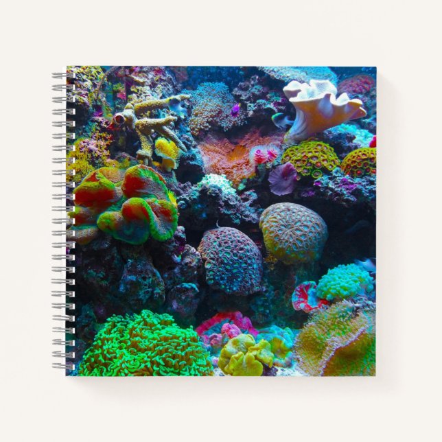 Colourful Coral Under the Sea Notebook (Front)