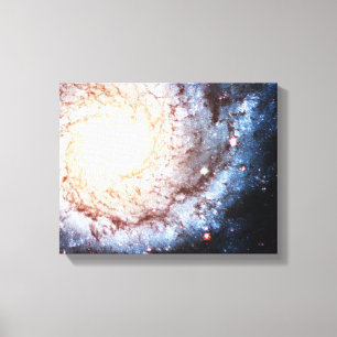 Colourful Cosmos Canvas Print