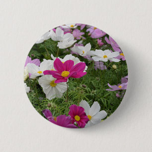 Colourful cosmos flower garden 6 cm round badge