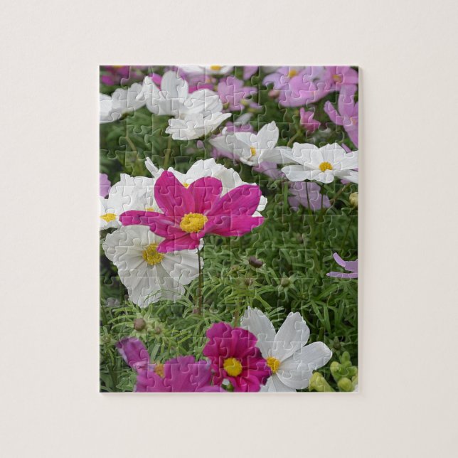 Colourful cosmos flower garden jigsaw puzzle (Vertical)