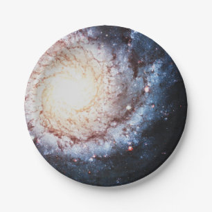 Colourful Cosmos Paper Plate