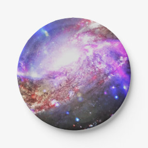 Colourful Cosmos Paper Plate
