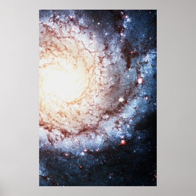 Colourful Cosmos Poster (Front)