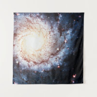 Colourful Cosmos